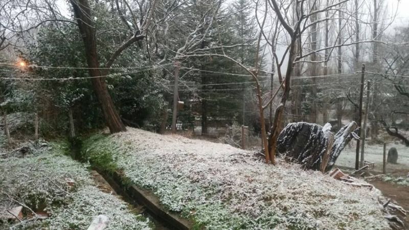 El Rodeo amaneció blanco