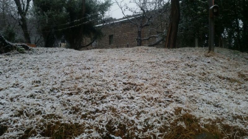 El Rodeo amaneció blanco