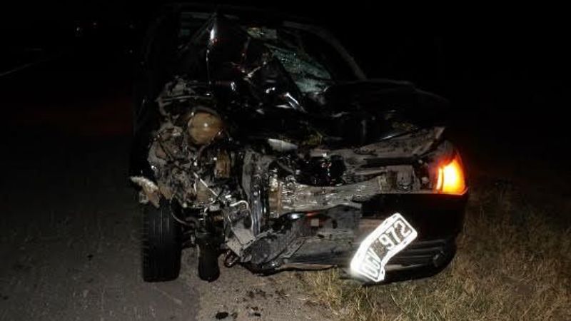 Nuevo accidente vial causado por animales sueltos