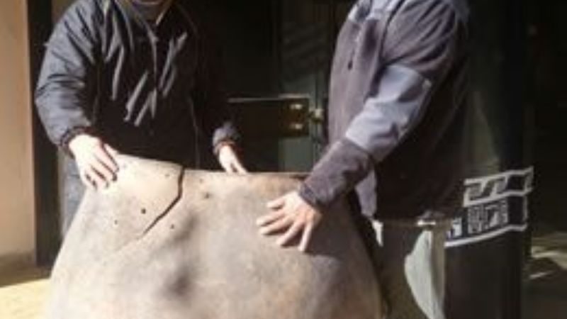 Encontraron urna funeraria gigante