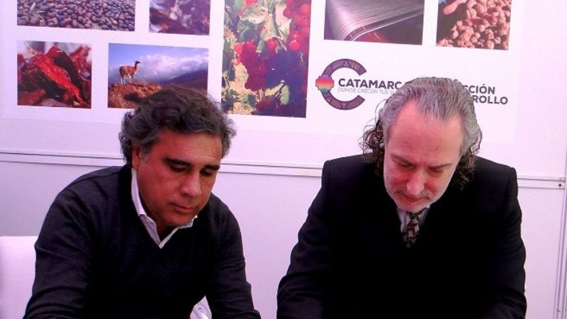 Estrategias de finanzas verdes y proyectos de energía renovables