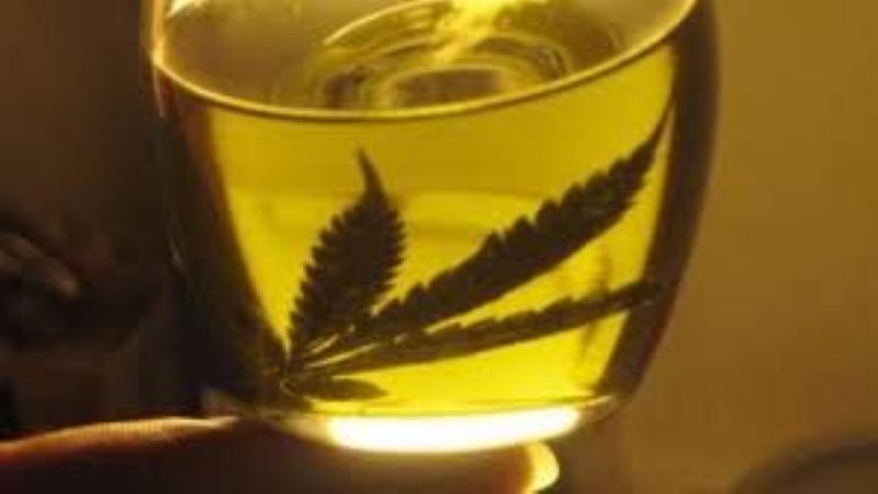 Avanza proyecto que autoriza uso medicinal de cannabis