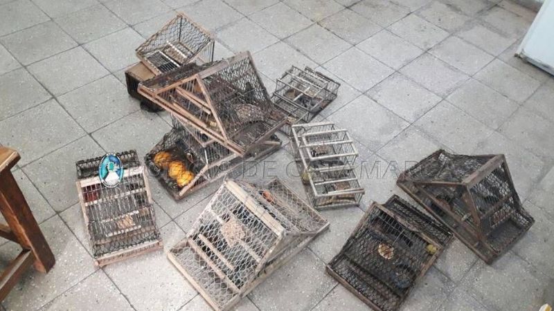 Secuestran tramperos