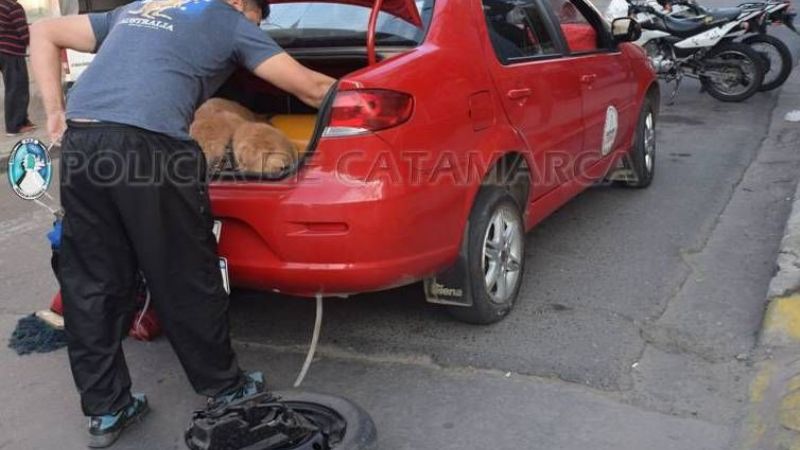 Tras persecución detuvieron a salteños