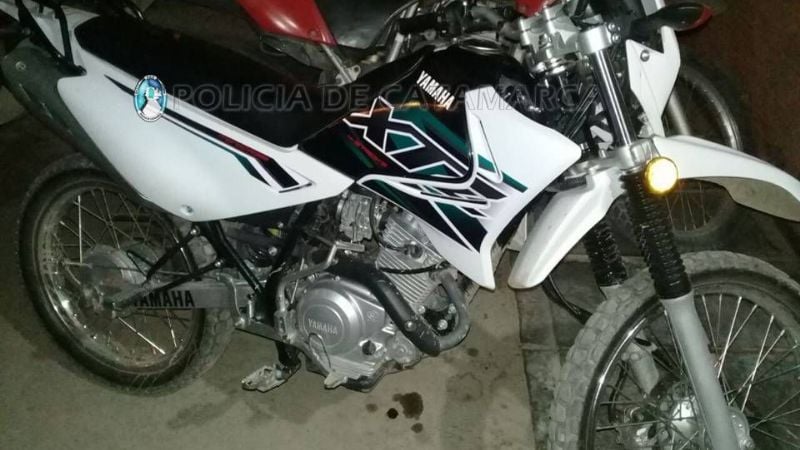 Persecución terminó con el secuestro de plantines de marihuana