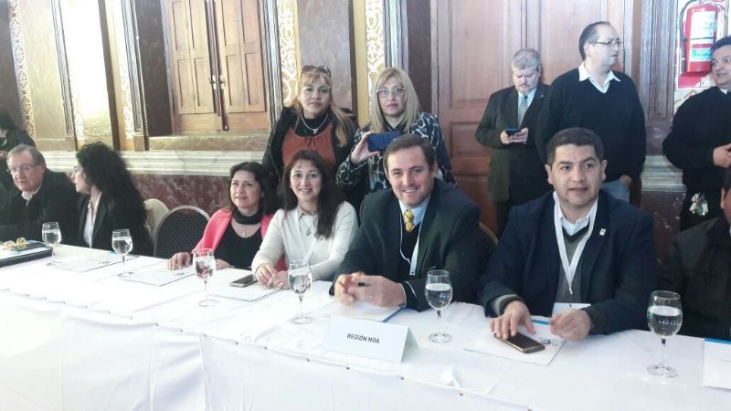 Participación en el Concejo Federal de Discapacidad