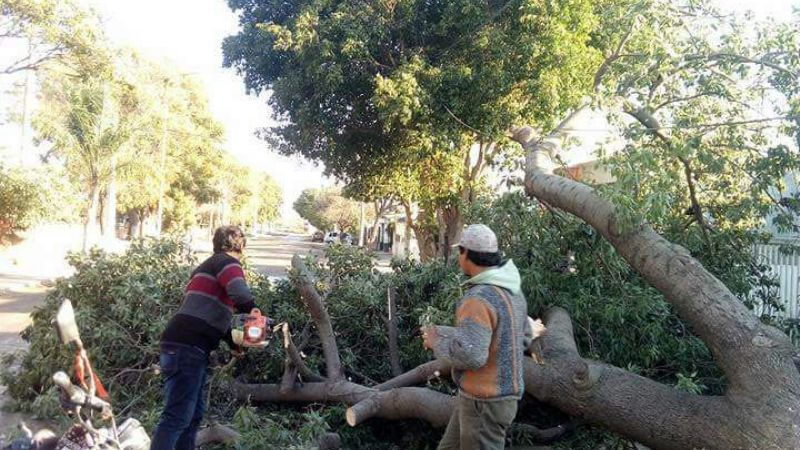 Fue un susto, pudo haber sido mayor