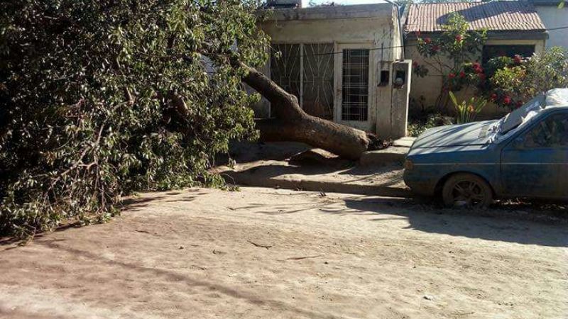 Fue un susto, pudo haber sido mayor