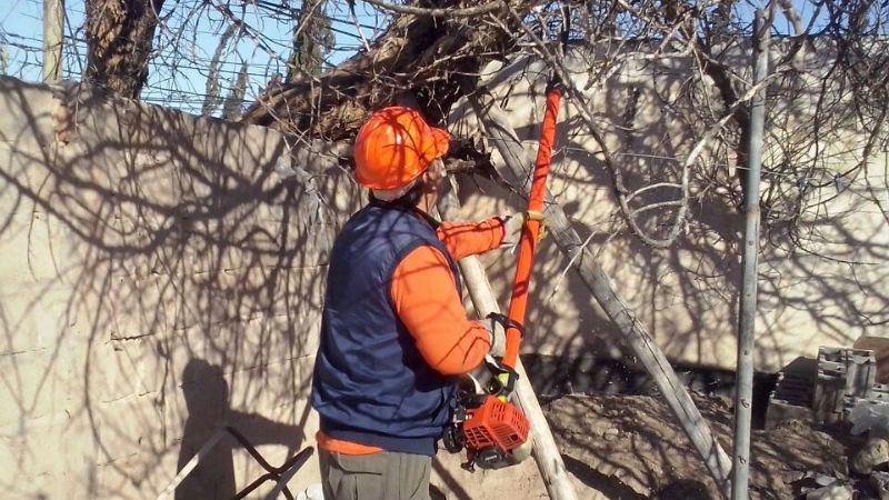 Varios sectores de la Capital afectados por el fuerte viento
