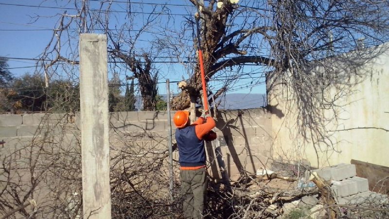 Varios sectores de la Capital afectados por el fuerte viento