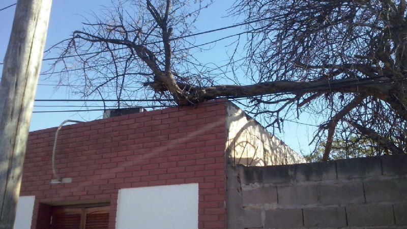 Varios sectores de la Capital afectados por el fuerte viento