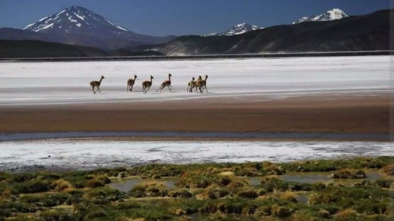 Catamarca en imágenes