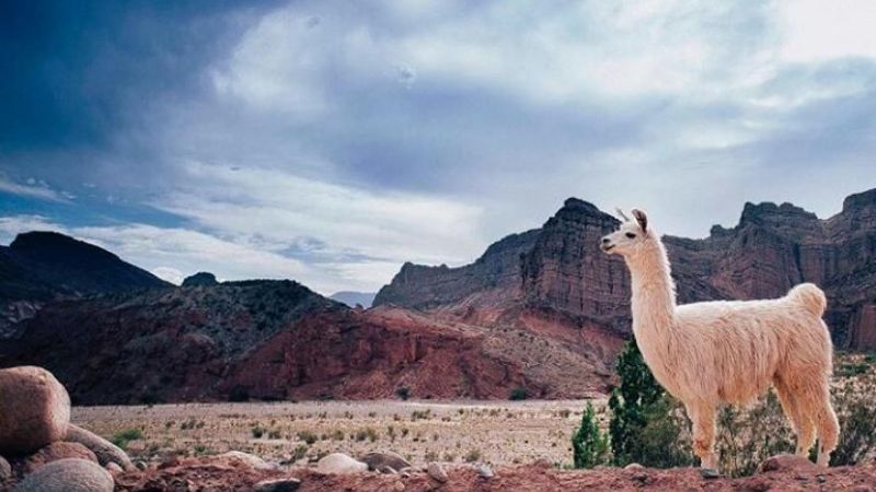 Catamarca en imágenes