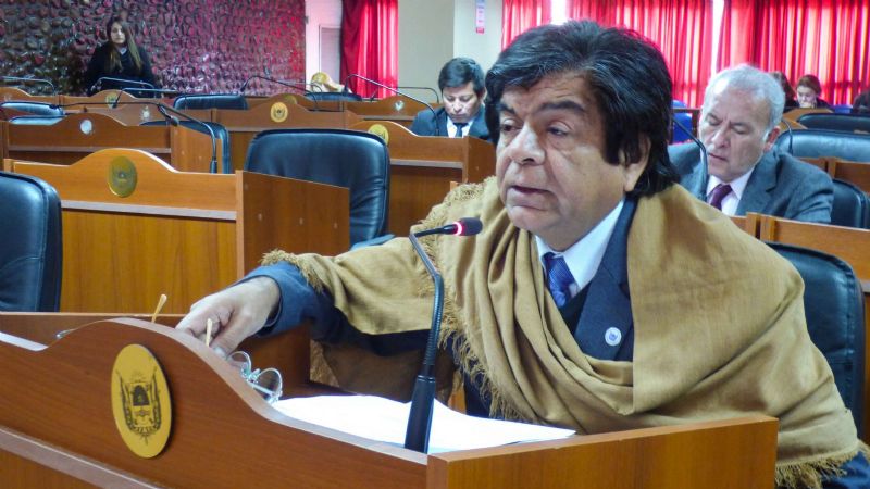 El Senado declaró Ciudadana destacada de la Cultura a Anita Martinena