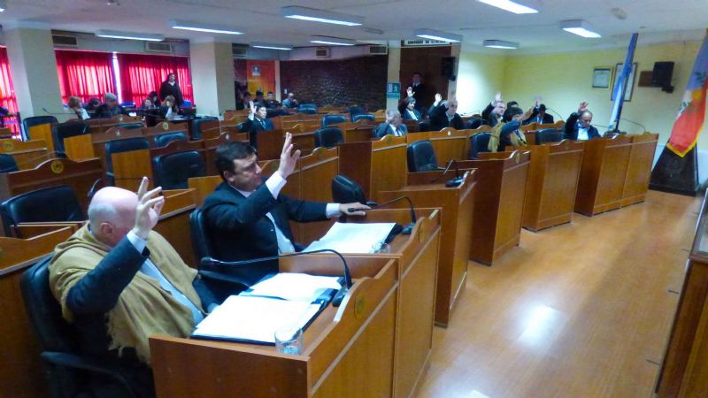 El Senado declaró Ciudadana destacada de la Cultura a Anita Martinena