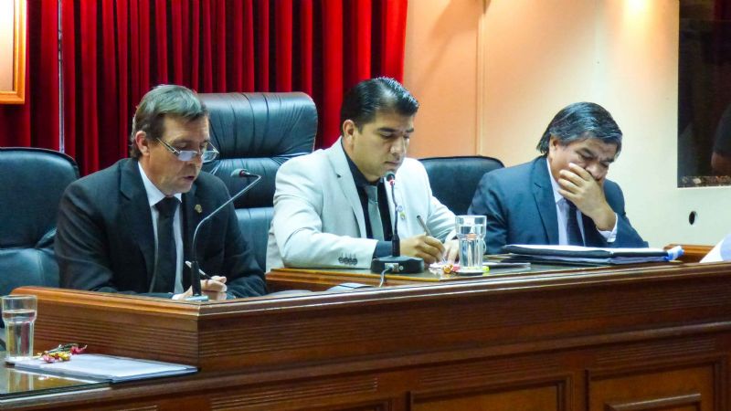 El Senado declaró Ciudadana destacada de la Cultura a Anita Martinena