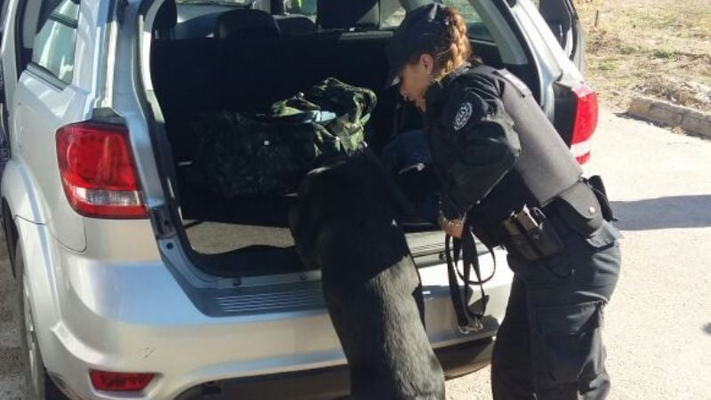 Incautaron 31 kilos de marihuana y detuvieron a tres personas