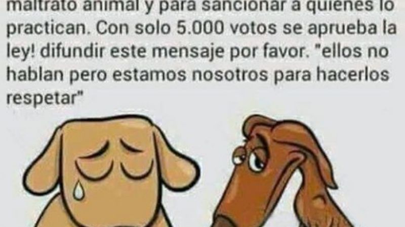 Falsa cadena que busca impugnar votos