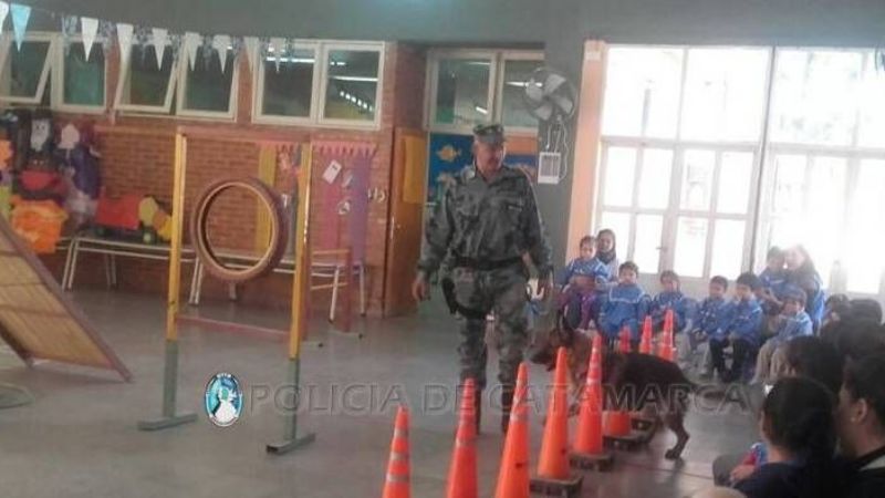 Exhibición de canes en una Escuela del Oeste de la Capital