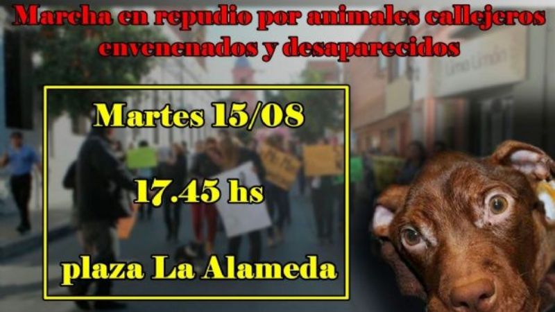 Nueva manifestación en contra del envenenamiento de perros