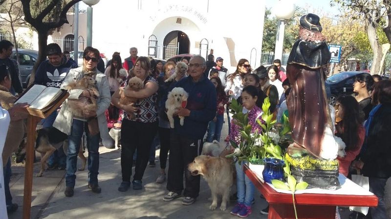 Emotiva bendición de mascotas