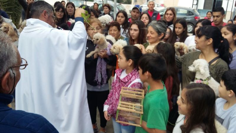 Emotiva bendición de mascotas
