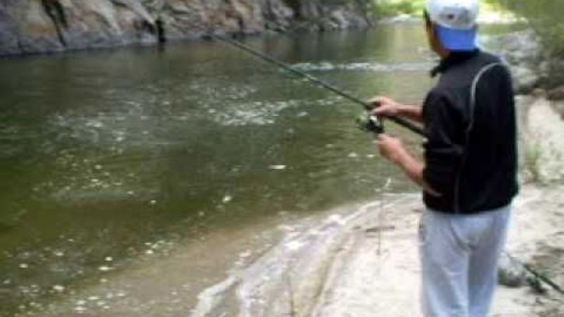 Finalizó la temporada de caza deportiva