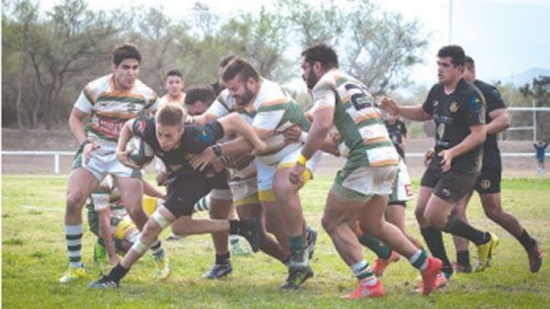 Los Hurones no pudieron con Los Chelcos