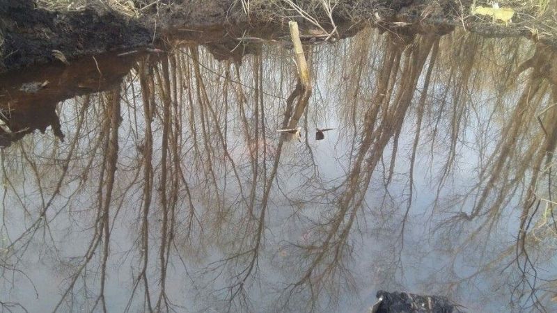 Reanudan el operativo en el delta del Paraná tras el hallazgo de los restos del avión desaparecido