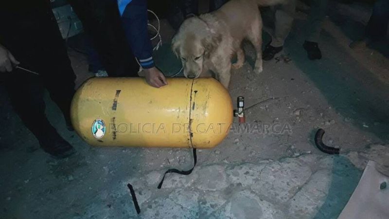 Secuestran 75 kilos de marihuana ocultos en un auto