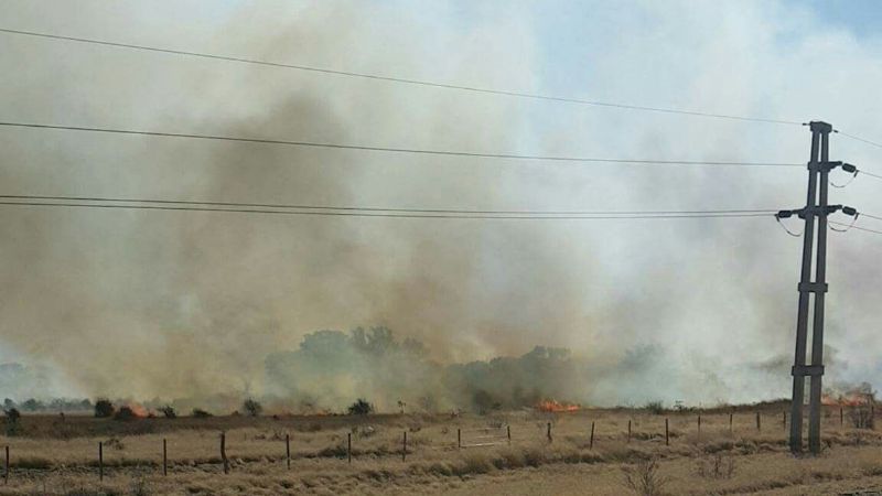 Se incendia campo en la zona norte de Recreo