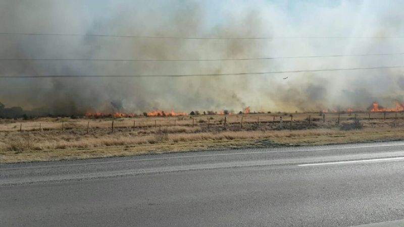 Se incendia campo en la zona norte de Recreo