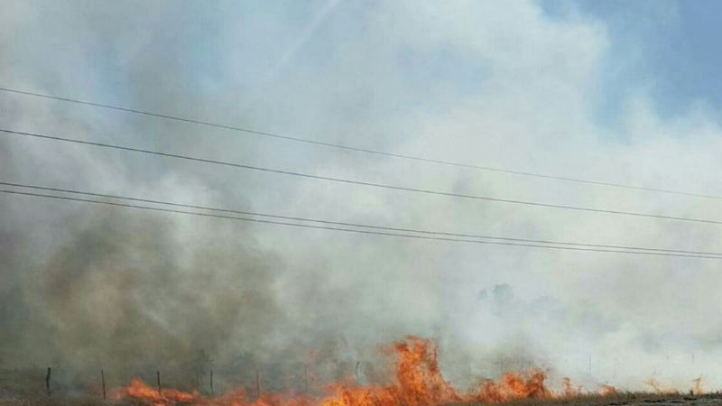 Se incendia campo en la zona norte de Recreo