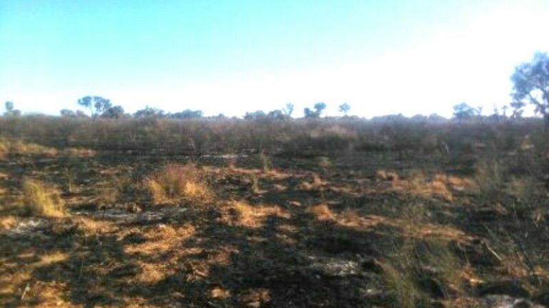 El fuego fue controlado pero consumió 249 hectáreas