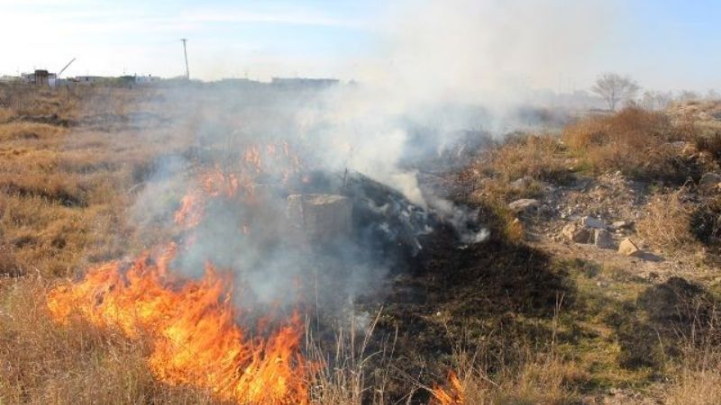 Incendio de pastizales en el fondo de una vivienda