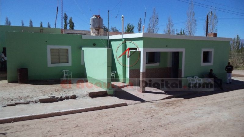 Feroz ataque de abejas en un sepelio