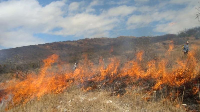 Continúan los incendios de pastizales