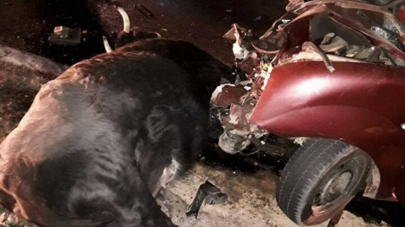 La trágica ruta 157