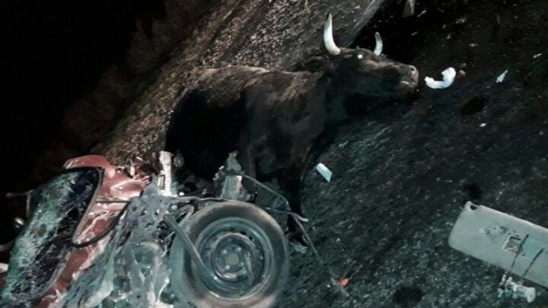 La trágica ruta 157