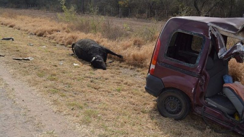Falleció mujer que protagonizó accidente en La Paz