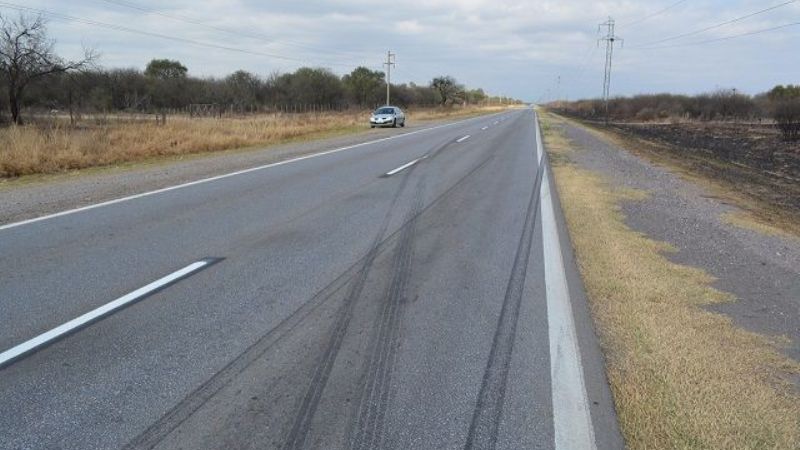 Especulan que animal que causó trágico accidente podría haberse escapado