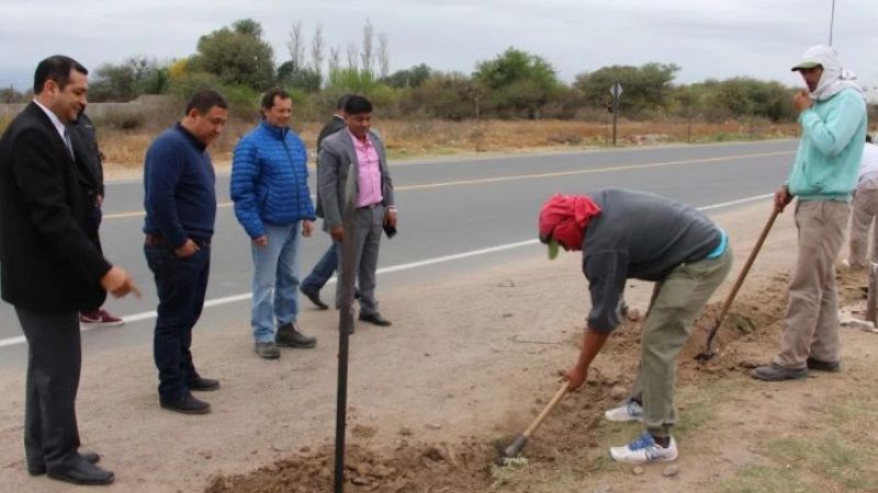 Festejaron el Día del Arbol, con más forestación