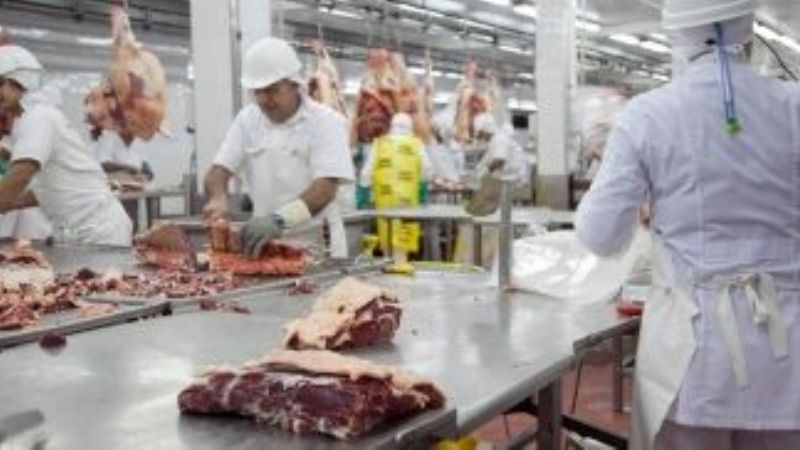 Las exportaciones de carnes bovinas crecieron en julio 8% intermensual