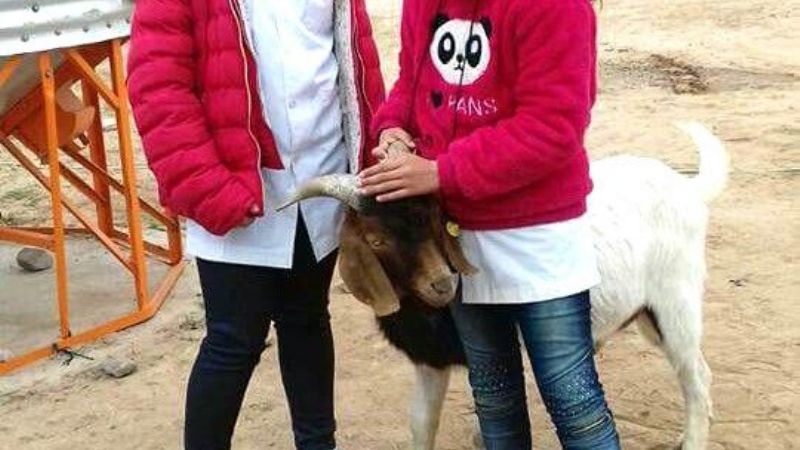 Alumnos visitaron Agronomía de Zona en Recreo