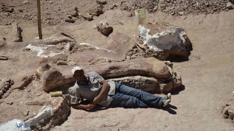 Dan a conocer al dinosaurio más grande de todos los tiempos
