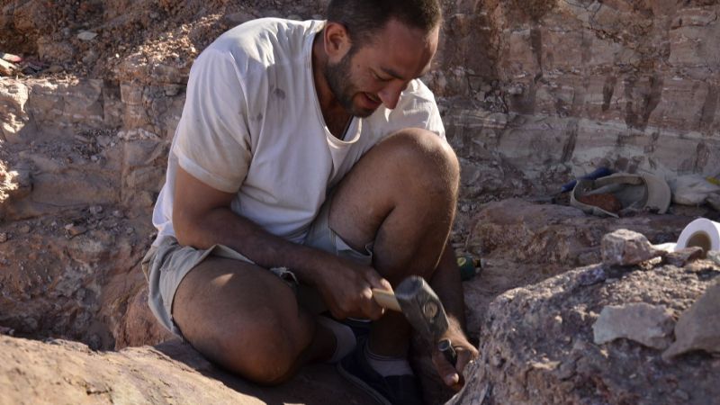 Dan a conocer al dinosaurio más grande de todos los tiempos