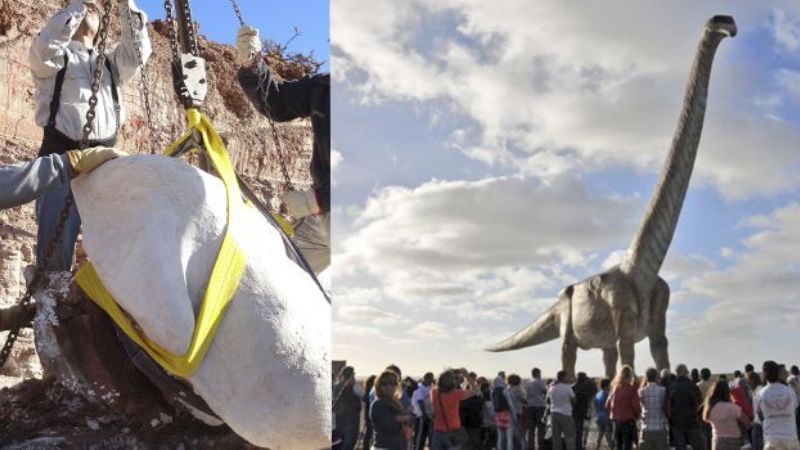 Dan a conocer al dinosaurio más grande de todos los tiempos