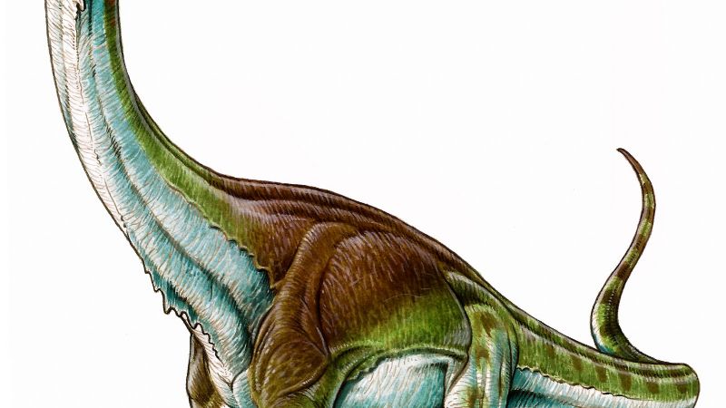 Dan a conocer al dinosaurio más grande de todos los tiempos