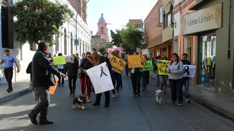 Marcha de proteccionistas por la matanza de animales