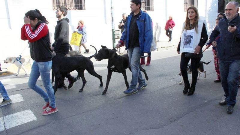 Marcha de proteccionistas por la matanza de animales